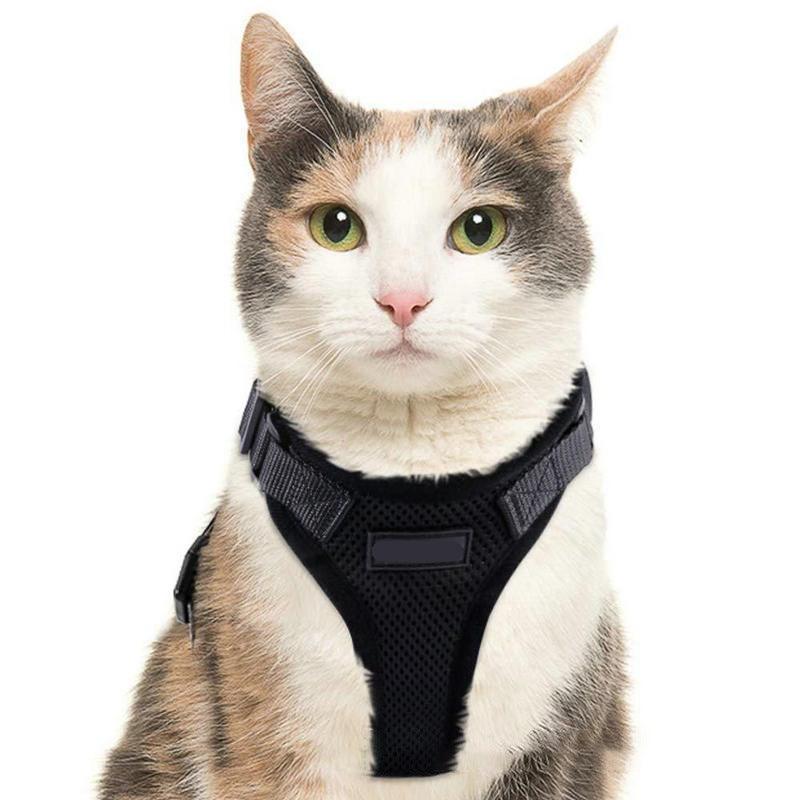 Purrfectprowl - Stylish Cat Walking Harness