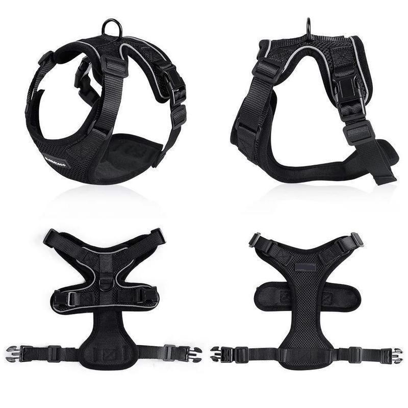 Purrfectprowl - Stylish Cat Walking Harness