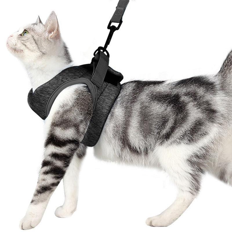 Lightweight Lace Cat Leash And Chest Strap Set - Stylish And Comfortable Outdoor Cat Harness