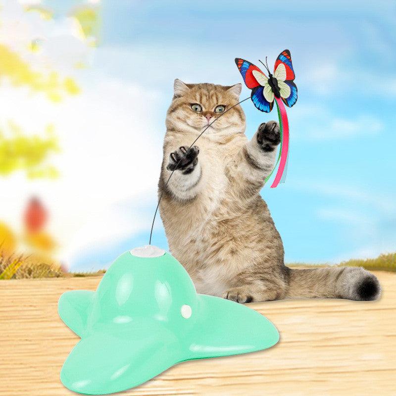 Interactive Kitty Playground