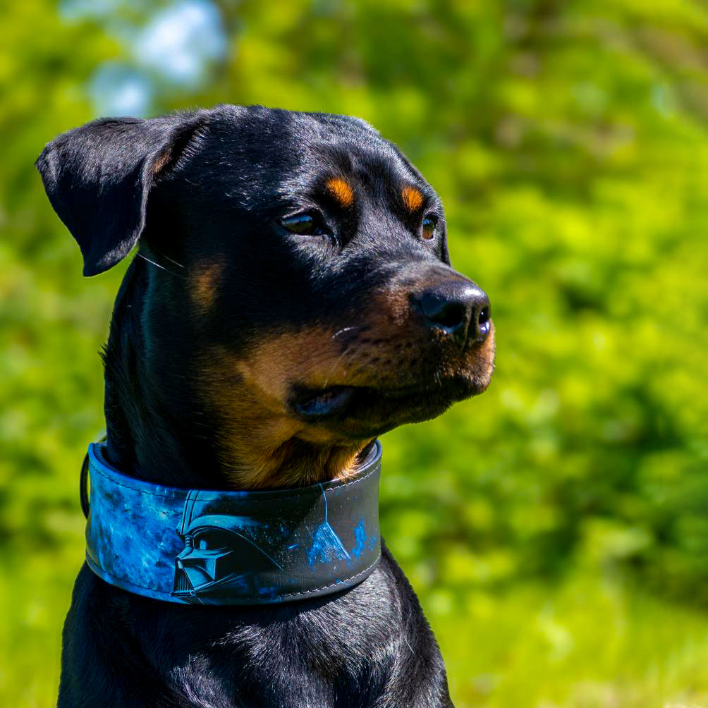 The Vader Limited Collar-3