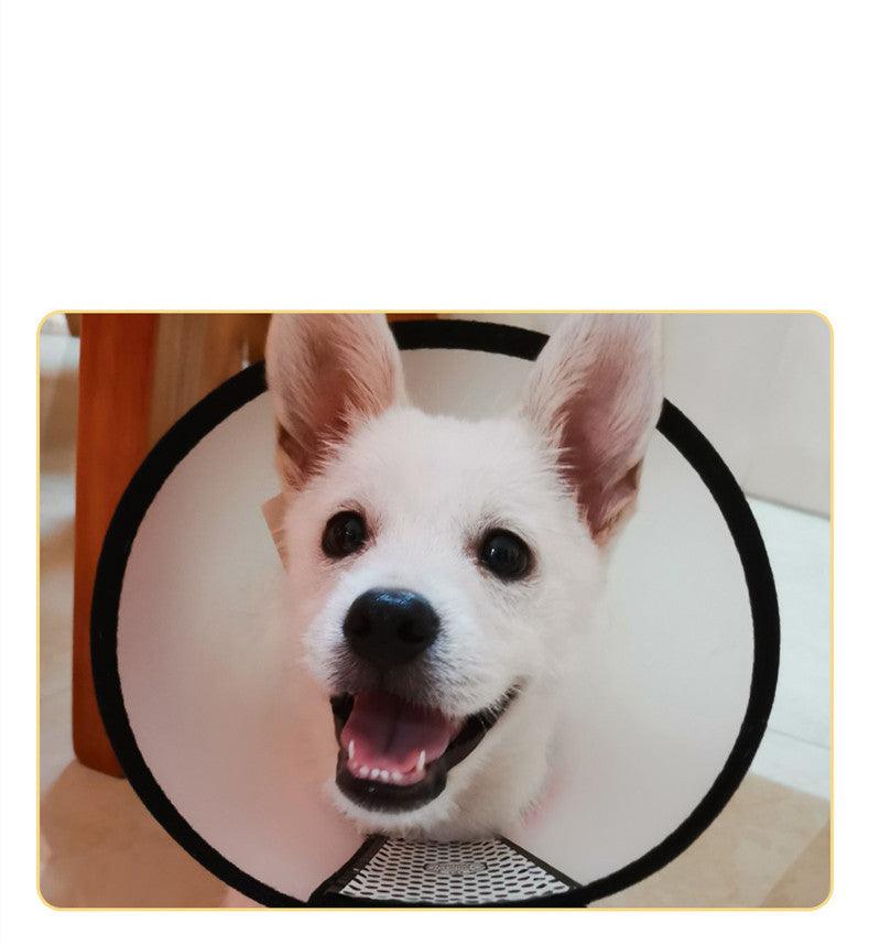 Universal Anti-Licking Pet Collar: Stop Your Furry Friend's Annoying Habits!