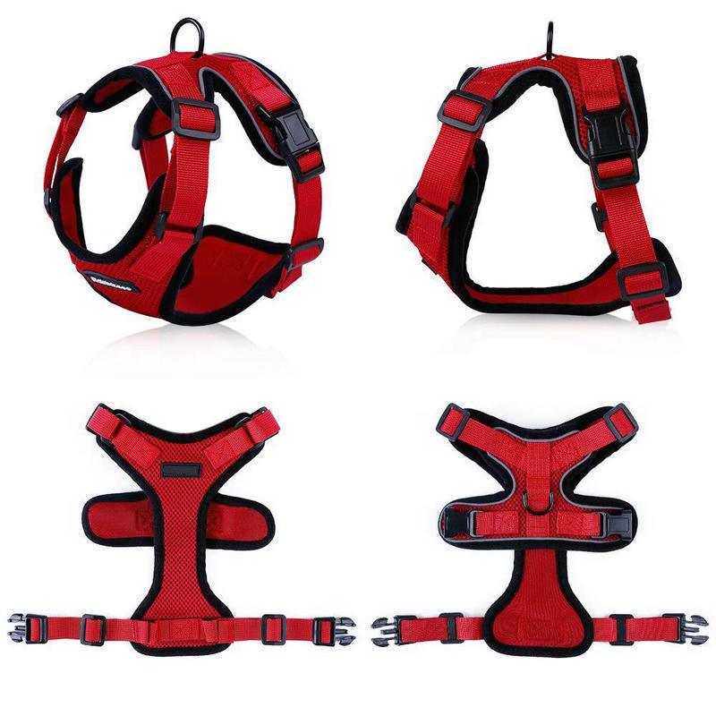 Purrfectprowl - Stylish Cat Walking Harness
