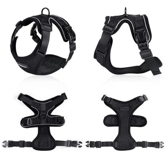 Purrfectprowl - Stylish Cat Walking Harness