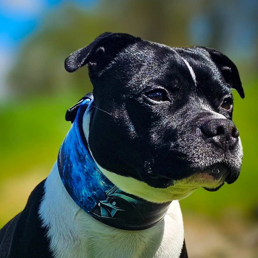 The Vader Limited Collar-4