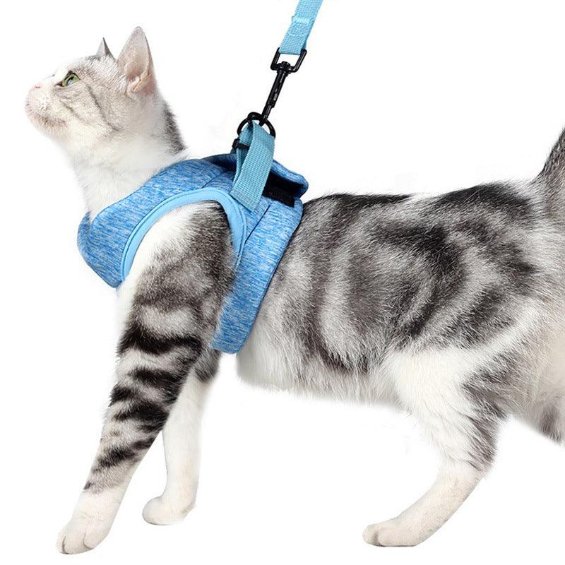Lightweight Lace Cat Leash And Chest Strap Set - Stylish And Comfortable Outdoor Cat Harness