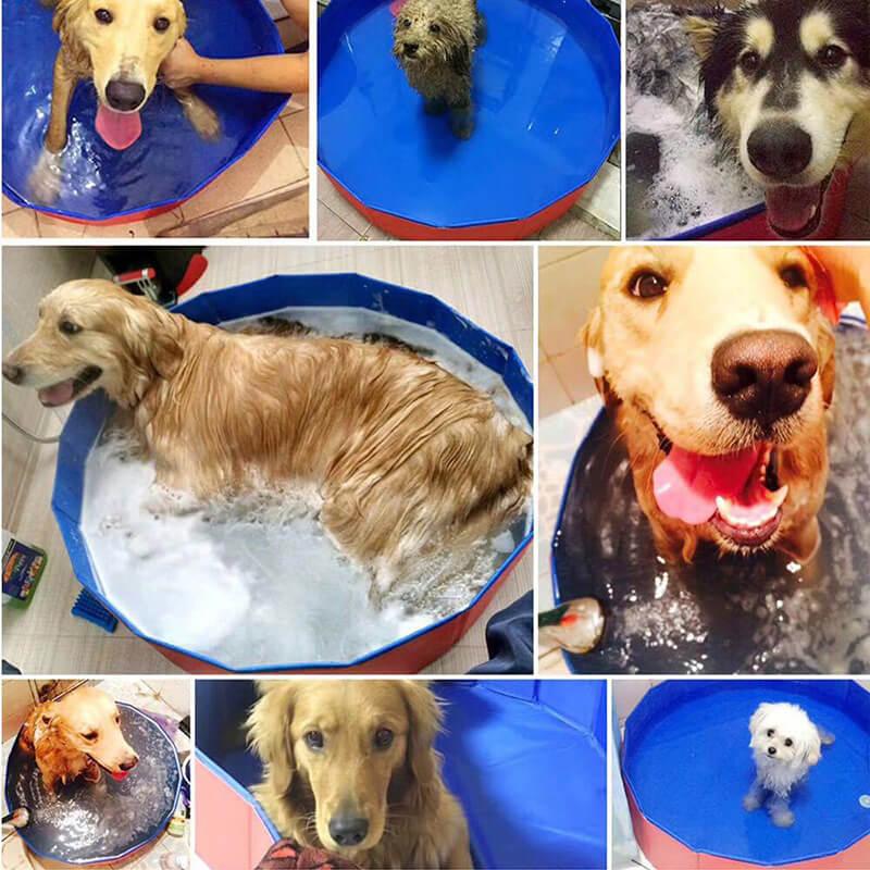 Aquapaws