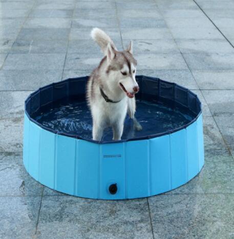 Aquapaws