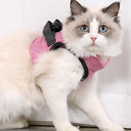 Lightweight Lace Cat Leash And Chest Strap Set - Stylish And Comfortable Outdoor Cat Harness